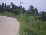 805R0015373.jpg