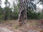 43629pic3.jpg