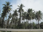 27857IMG_4823.JPG