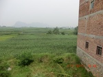 32654CIMG1773.JPG