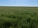 29100CIMG0582.JPG