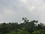 49849CIMG6186.JPG