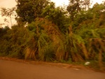 55152Berau (52).JPG