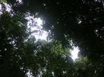 45737CIMG2822.JPG