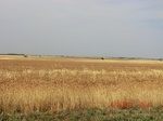 29864CIMG1357.JPG