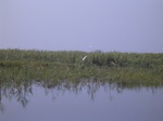 652R0015160.jpg
