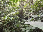 46848DSC02195.JPG