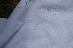 427IMG_3361.JPG