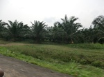 50743CIMG1372.JPG