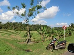 30394CIMG1962.JPG