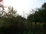 1796427042008(94).JPG