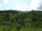 25754P1020173.JPG