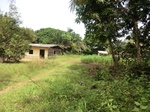 46898CIMG3235.JPG
