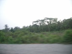 4087RIMG0392.JPG