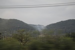 2024-08-05_13-37-53_9F8C10D8-02E9-43C4-8CF3-CAEB9DE53304.jpeg