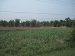 34493IMG_5476.JPG