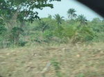 51512P1000673.JPG