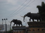 14854IMG_5247.JPG