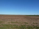 54046P1020243.JPG