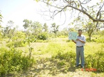6490gt024-shrubland-forest-2.jpg