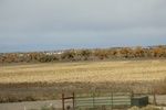 2022-11-02_16-10-04_5EF73410-89F6-4427-83EB-63004D27F82D.jpeg