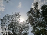 46355CIMG0644.JPG