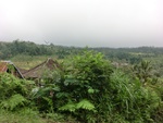 30837CIMG0687.JPG