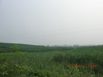 32746CIMG1878.JPG
