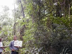 12307GT206_woodland.JPG