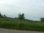 25820P1020239.JPG
