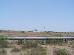 1765522042008(37).JPG