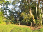 31922IMG_5711.JPG