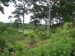 21311DSC00696.JPG