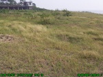 1228R0015063_tag.jpg
