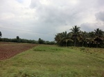 55812CIMG6440.JPG