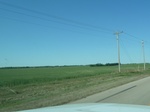 28954P1060034.JPG