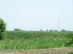 1763622042008(16).JPG
