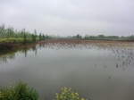 52080CIMG0077.JPG
