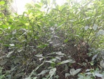 46841DSC02180.JPG