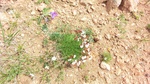 33822CIMG2518.JPG