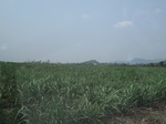 27800IMG_4654.JPG