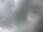 45504CIMG2589.JPG