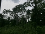 49656CIMG5993.JPG