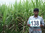 68770138a-irrigated-supplemental-major-lift-irrigation-sugarcane.jpg
