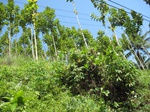 13978IMG_4280.JPG