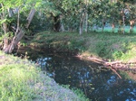 31925IMG_5714.JPG