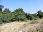 56372CIMG7925.JPG