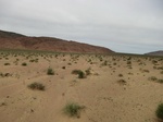 37060CIMG0855.JPG