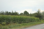 2024-10-10_17-07-55_AB9787EE-3D95-4364-9D80-EDB54390D123.jpeg