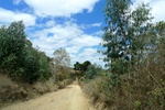 28648P1010665-1.JPG